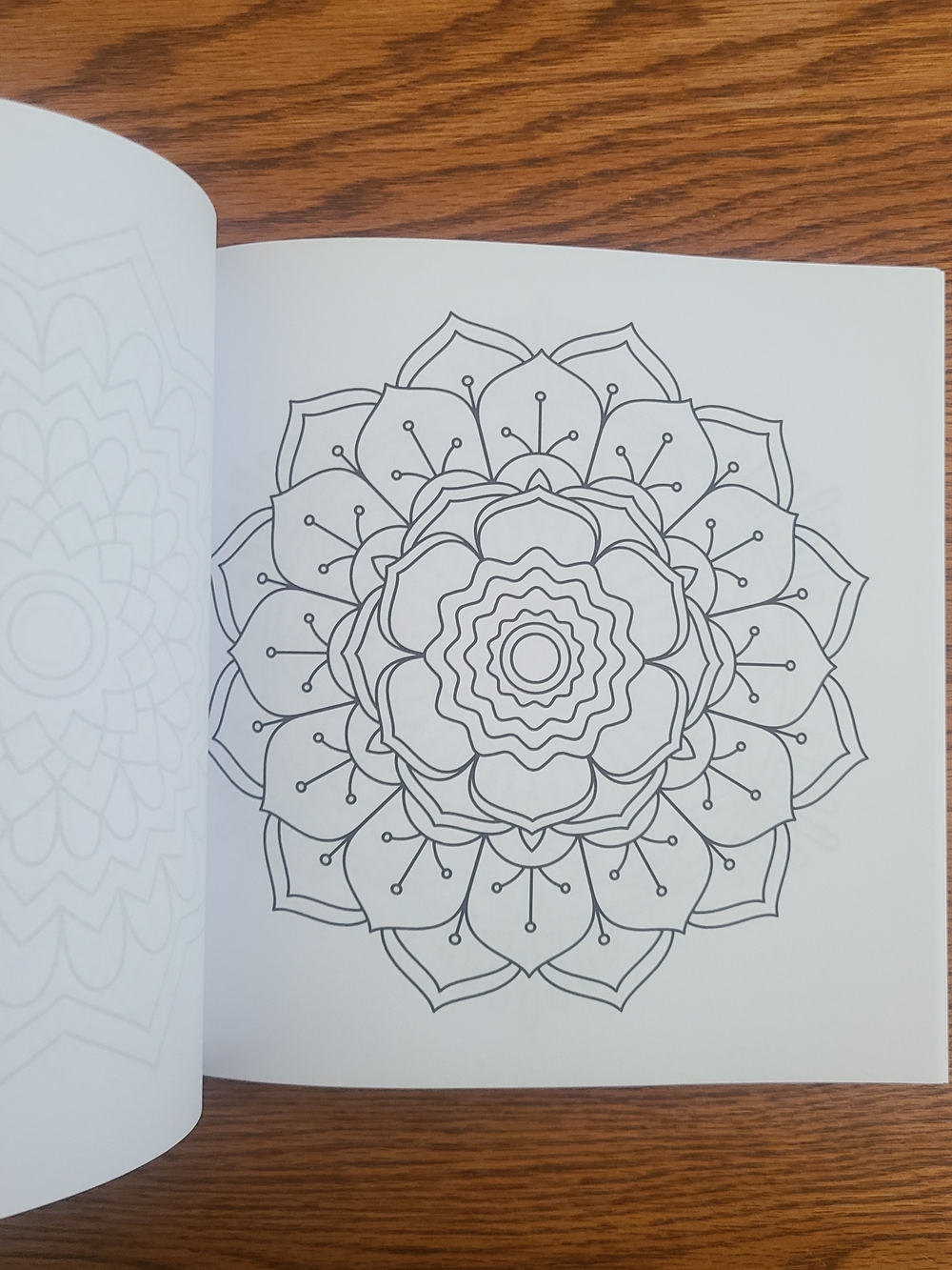 Easy Adult Coloring Book W/Ohuhu Glitter Markers - Picture 5 of 12